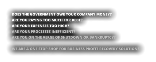 DOES THE GOVERNMENT OWE YOUR COMPANY MONEY? ARE YOU PAYING TOO MUCH FOR DEBT? ARE YOUR EXPENSES TOO HIGH? ARE YOUR PROCESSES INEFFICIENT? ARE YOU ON THE VERGE OF SHUTDOWN OR BANKRUPTCY?  WE ARE A ONE STOP SHOP FOR BUSINESS PROFIT RECOVERY SOLUTIONS